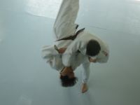 harai-goshi